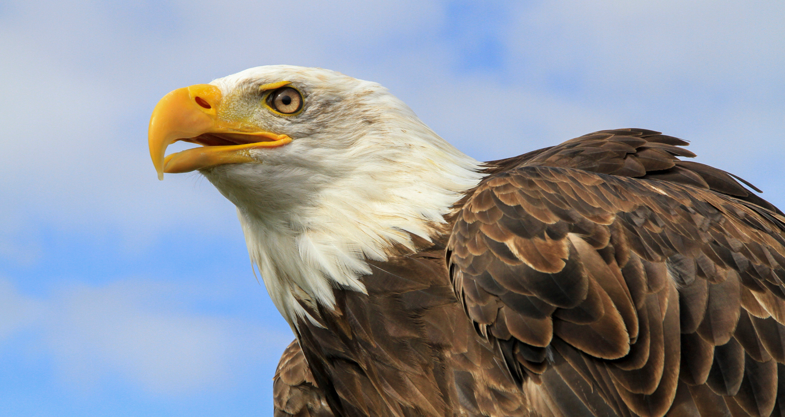 Fotoklubben er på Facebook